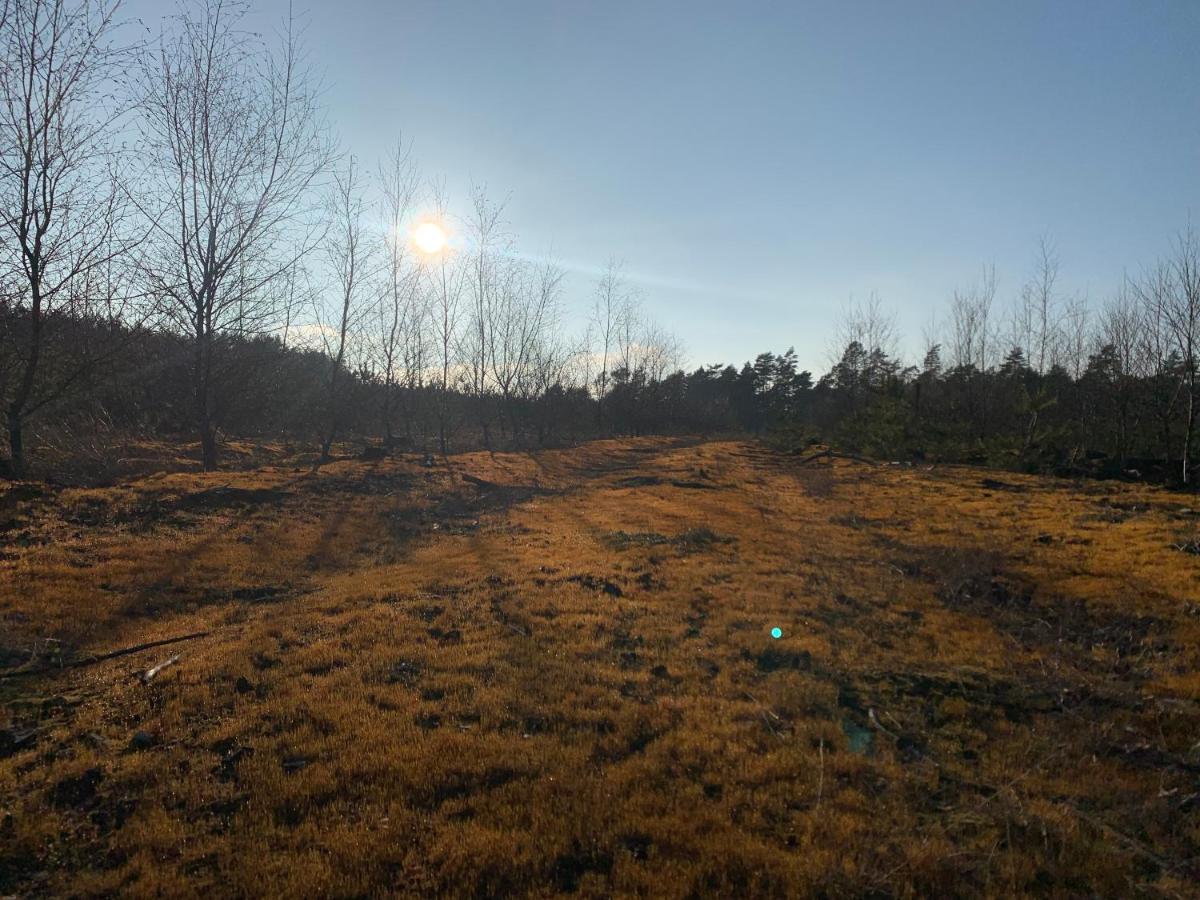 Agroturystyka Gesiniec Stare Osieczno Eksteriør billede