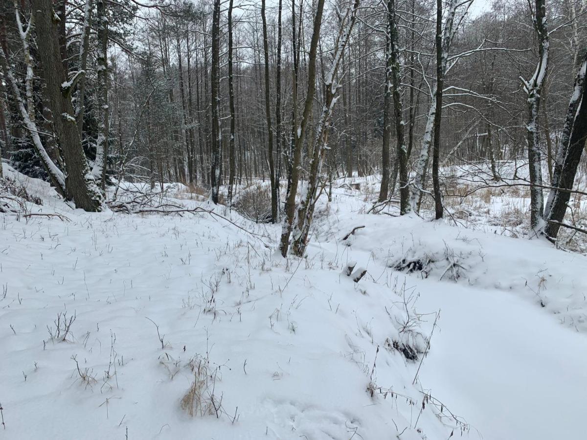 Agroturystyka Gesiniec Stare Osieczno Eksteriør billede