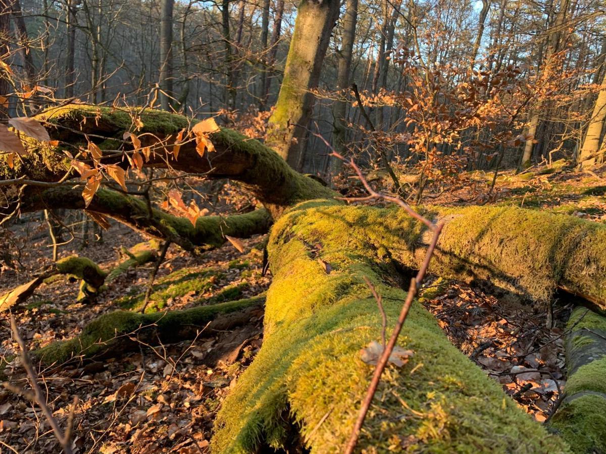 Agroturystyka Gesiniec Stare Osieczno Eksteriør billede