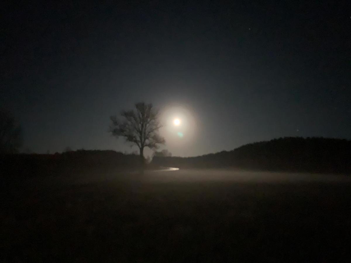Agroturystyka Gesiniec Stare Osieczno Eksteriør billede